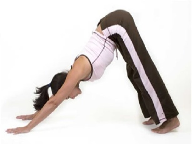 downward facing dog
