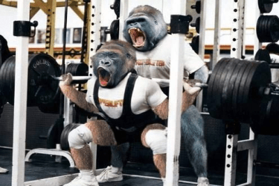 gorilla squat